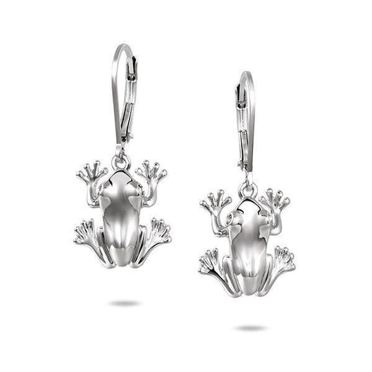 In this photo there is a pair of 925 sterling silver coqui frog lever-back earrings with aquamarine gemstones.