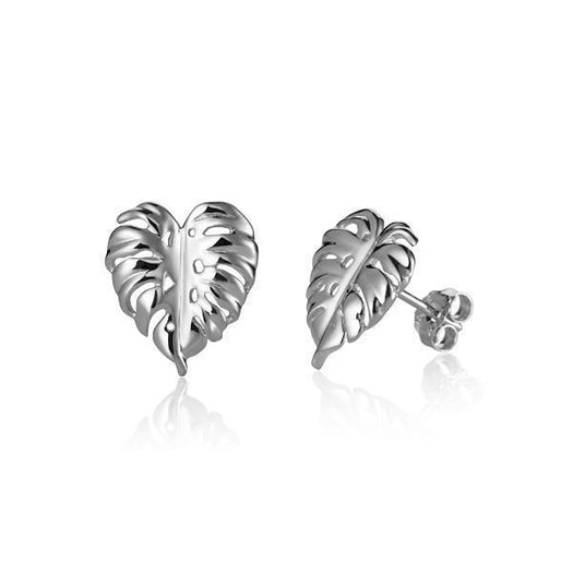 In this photo there is a pair of 14k white gold monstera stud earrings.