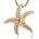 The picture shows a 14K yellow gold starfish pendant with diamonds.